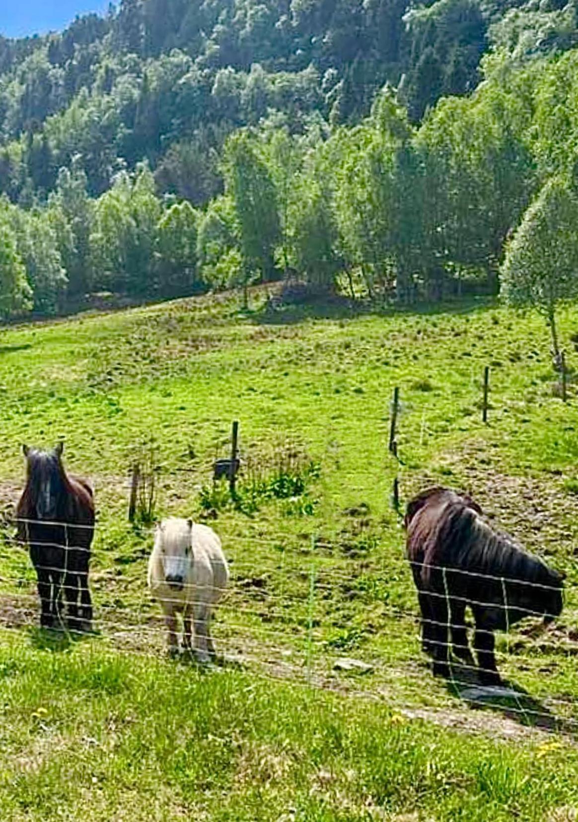 Vika Minihouse Villa Kristiansund Bagian luar foto